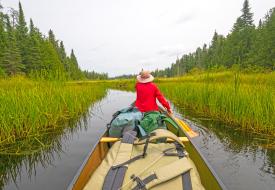 person canoeing 