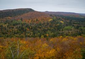 Superior National Forest