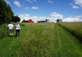 Renville County