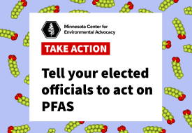 Take action: Tell you elected official to act on PFAS