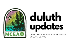 Duluth Updates banner