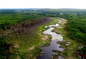 near proposed polymet mine site