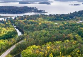 photo of forest and water from rob levine