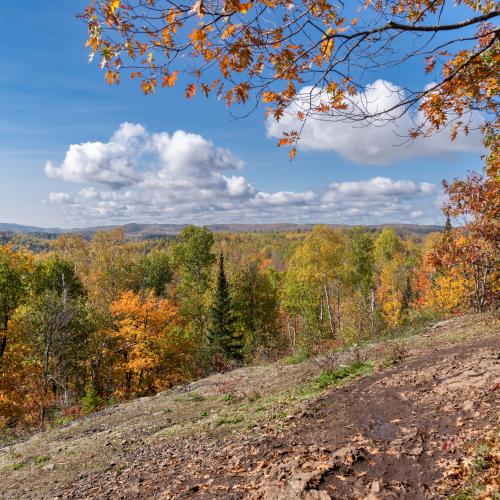 Superior National Forest