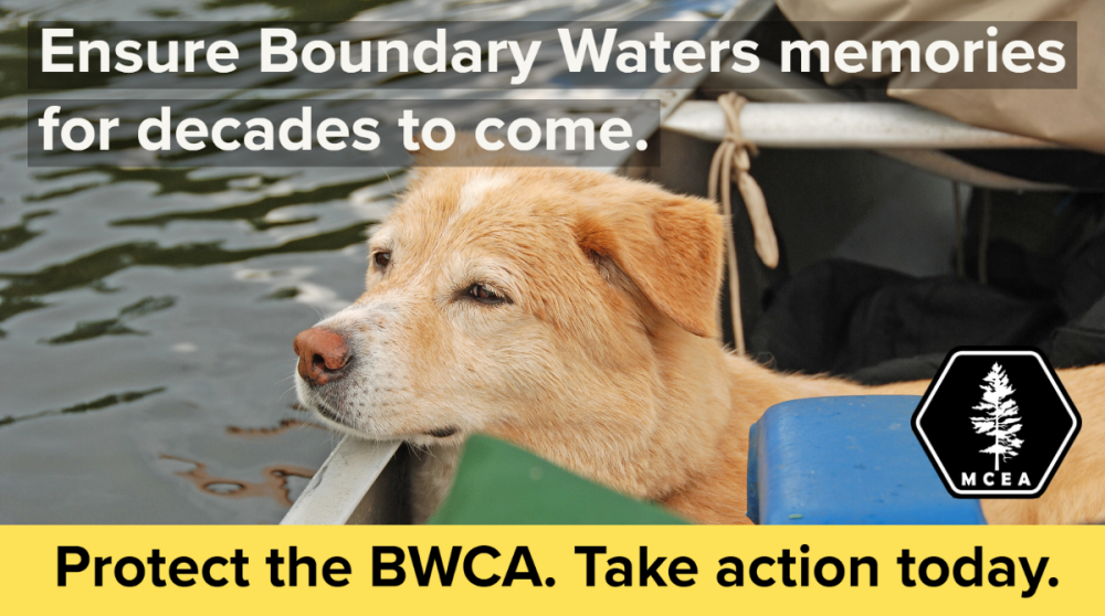  Ensure BWCA memories for decades to come. Protect the BWCA. Take action today. 