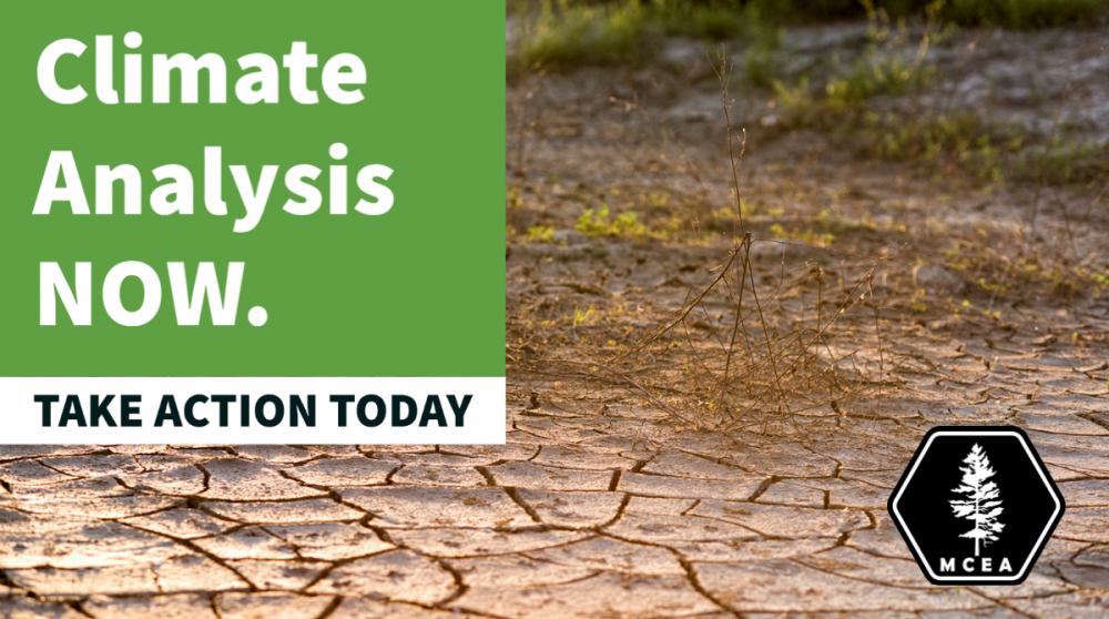 climate analysis now. Take action today