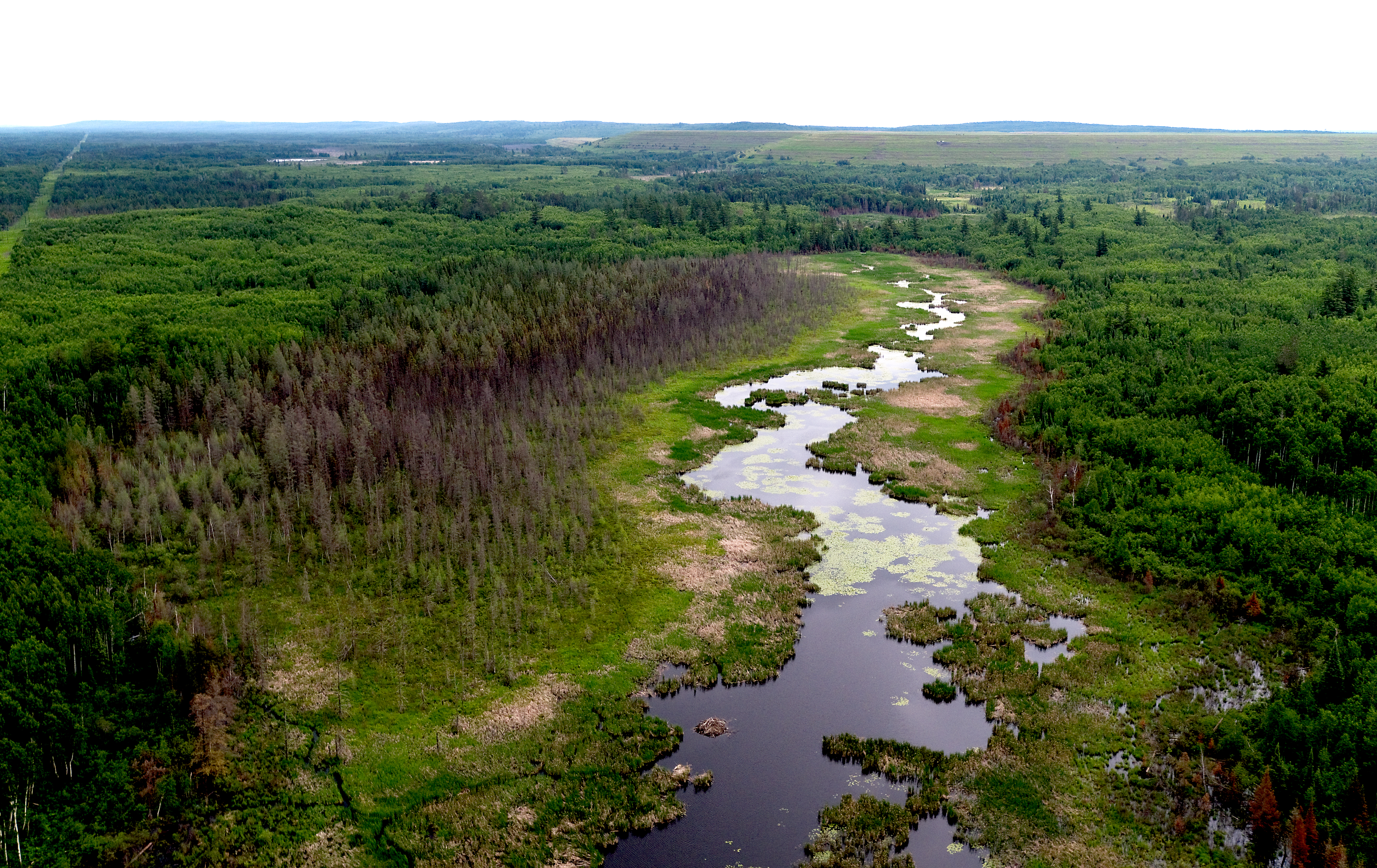 Image near Proposed PolyMet site